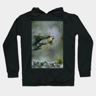 Blue Tit Hoodie